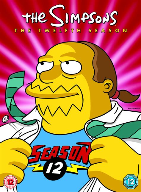 the simpsons season 20|the simpsons season 12.
